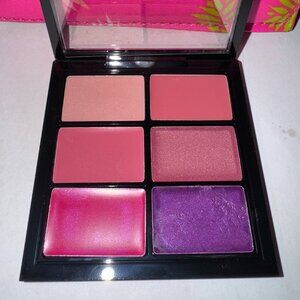 MAC Pro Lip Palette~Preferred Pinks